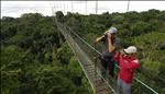 walkway above the canopy